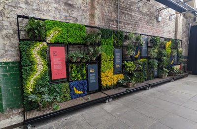 Banana Block Green Wall Installation