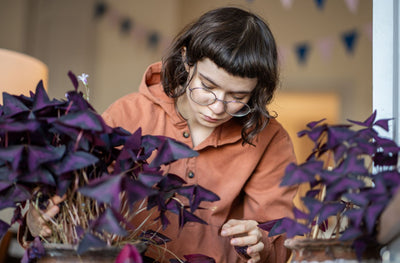 The Best Houseplants for Bringing Autumn Vibes Indoors
