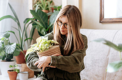 How to Not Kill Your Pothos Plant