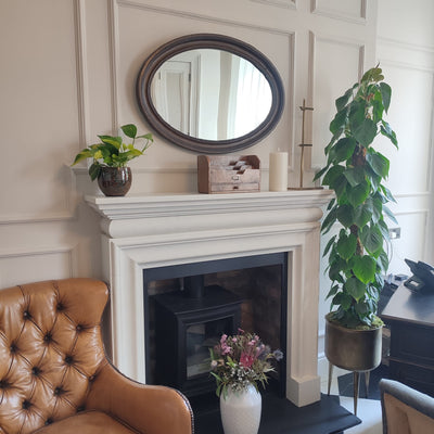 Plant Styling for Regency House, Belfast