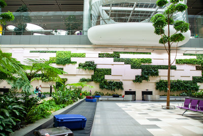 Biophilic design explained: bringing nature into the modern workplace