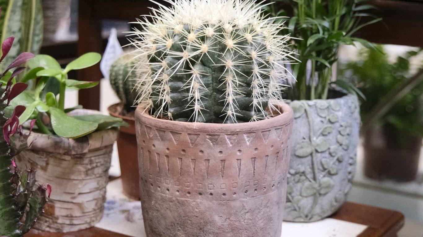 Pots