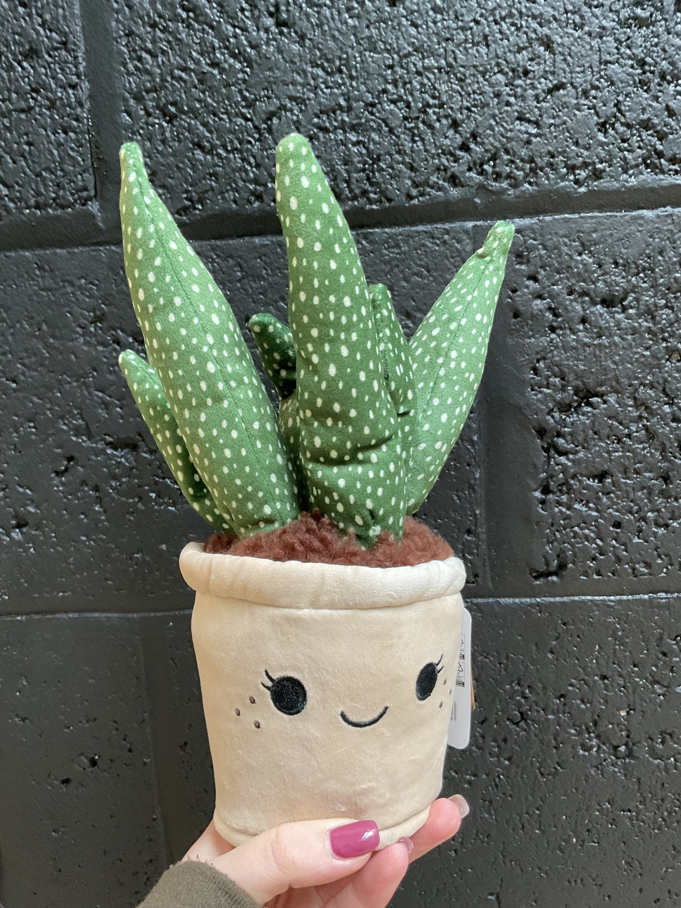 Plush plant